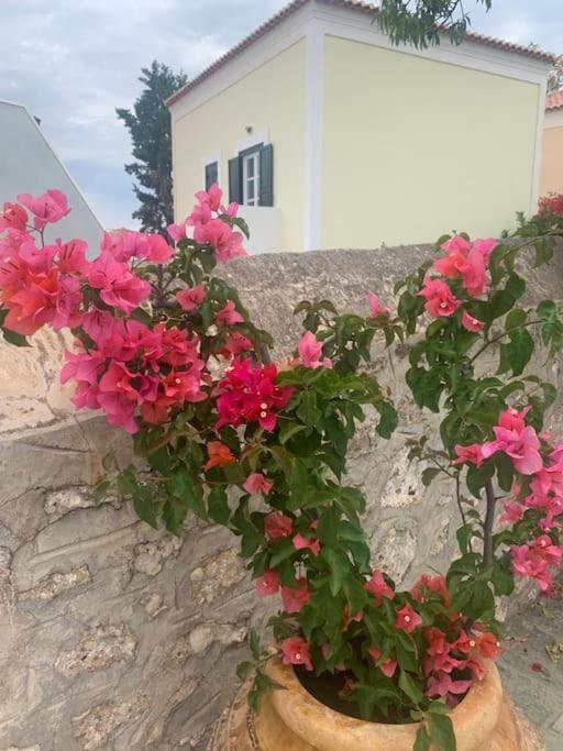 Villa 1853, Spetses Ground Floor Kültér fotó